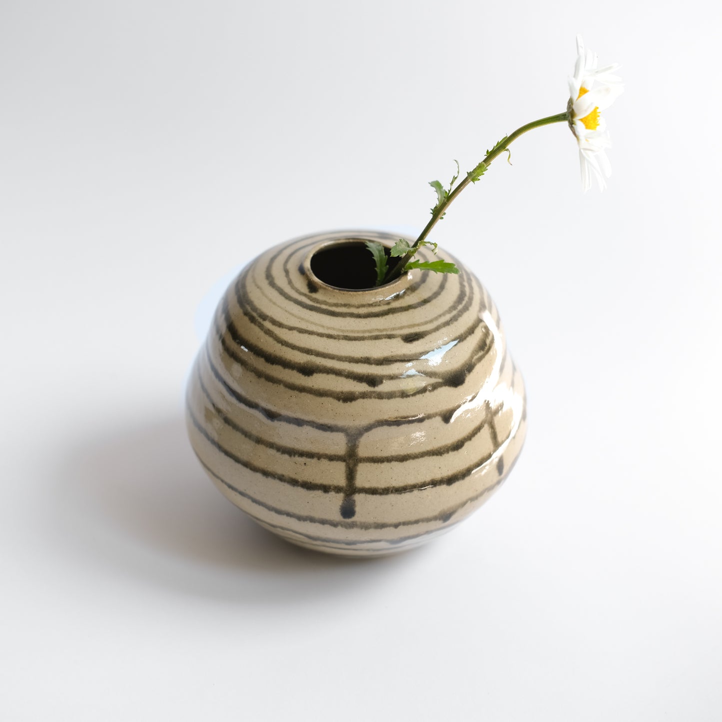 Vase L | Lines