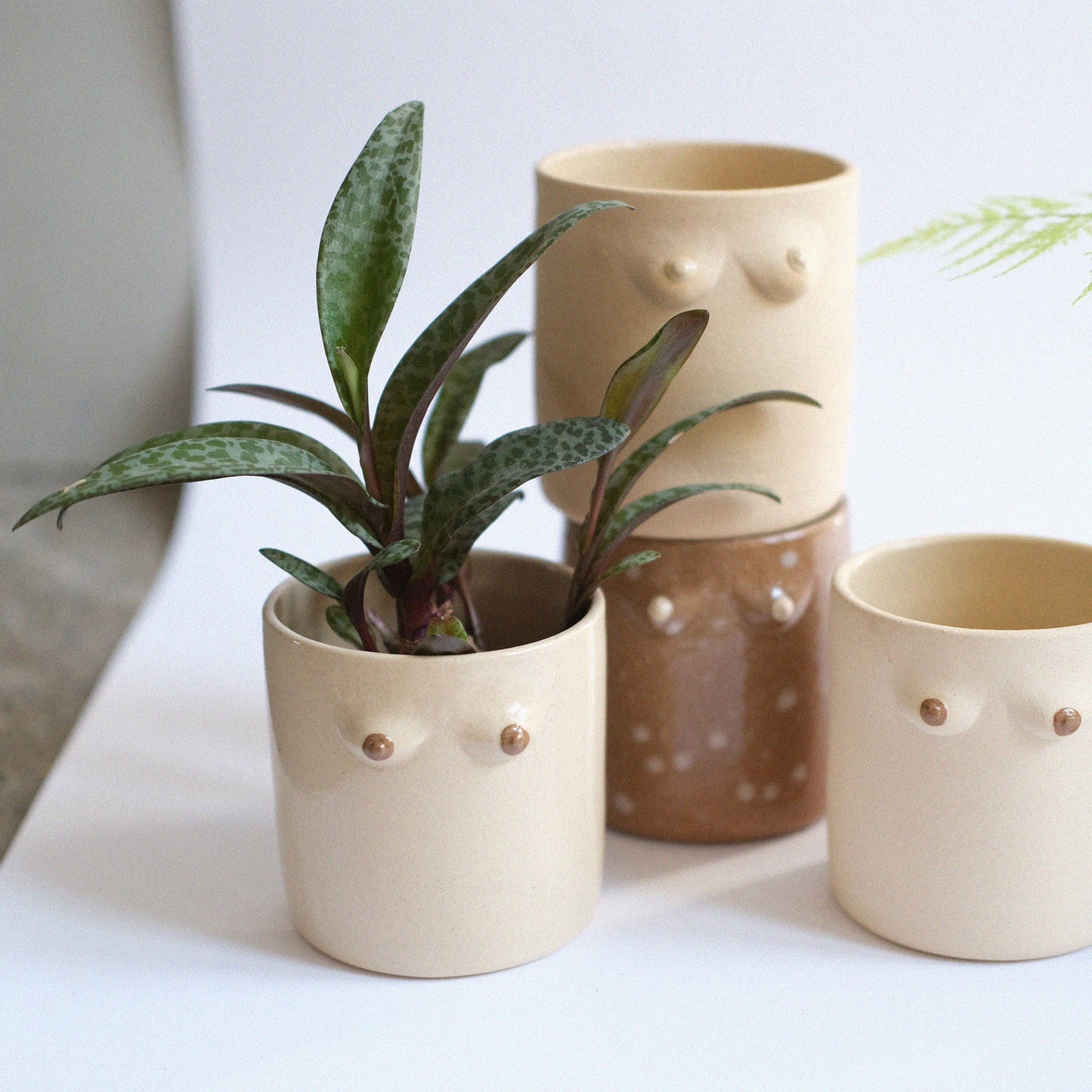 Mama Plantpot "Klassisch Matt"