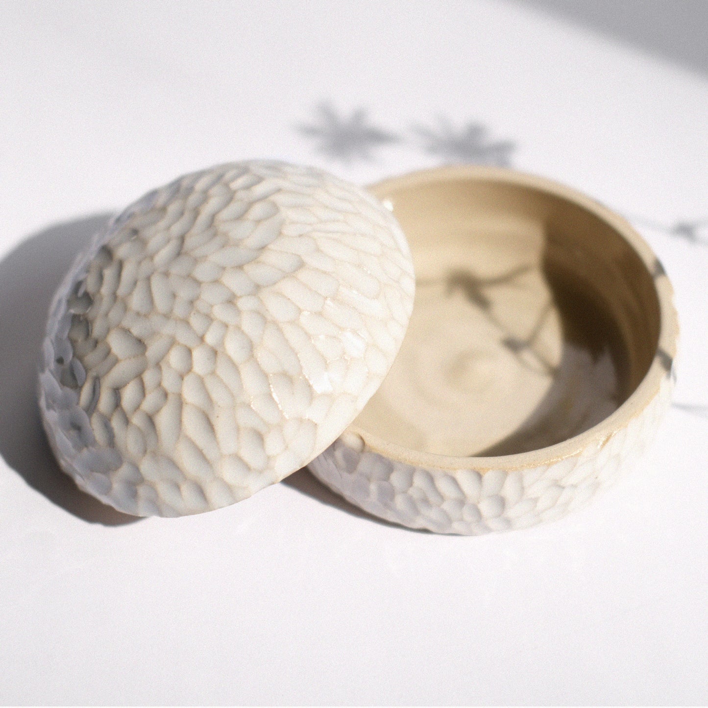Dose  | Carving Weiß