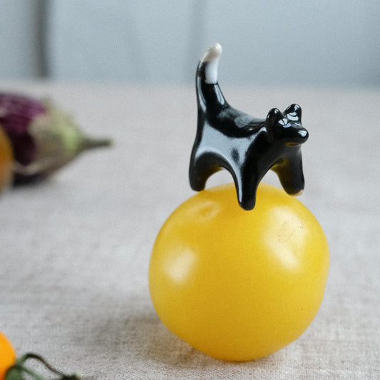 Taschentier | Katze Schwarz