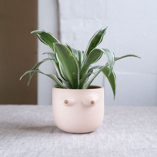 Mama Cup Round | Rosa Matt