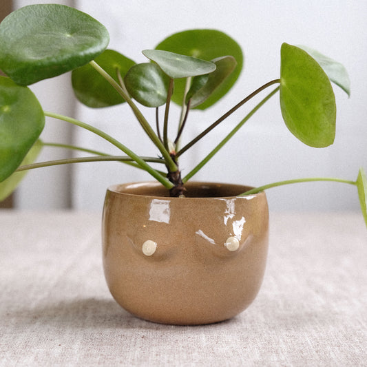 Mama Cup Round XS | Rotbraun Klassik