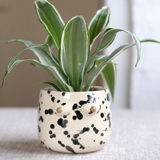 Mama Cup Round | Schwarzbraune Splashes