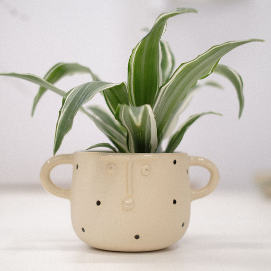 Cara Becher | Weiß Matt Pünktchen