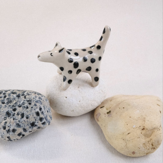 Taschentier | Tüpfelbeutelmarder °2