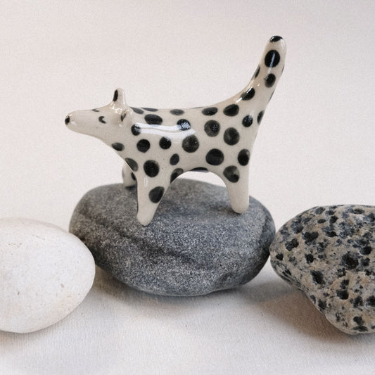 Taschentier | Tüpfelbeutelmarder °1